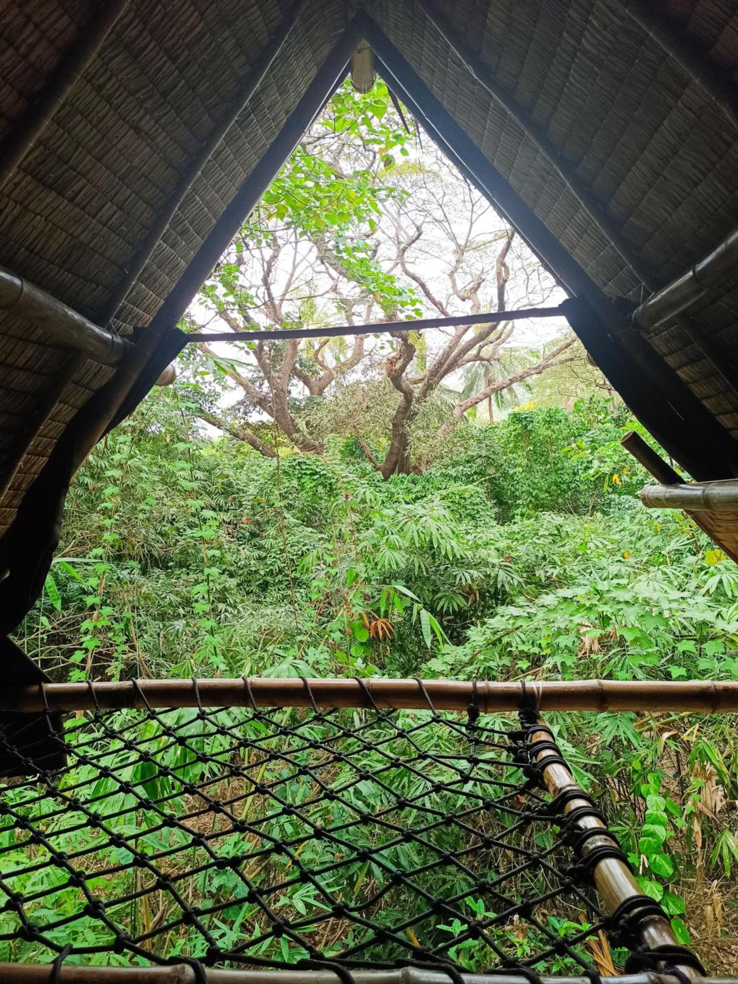 Ecocio Jungle Hostel Coron Exterior photo