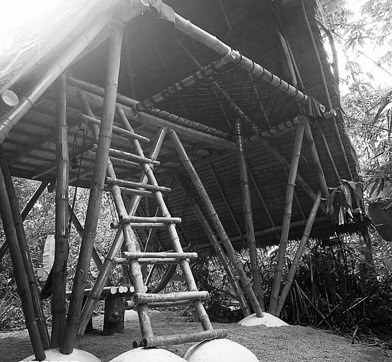 Ecocio Jungle Hostel Coron Exterior photo