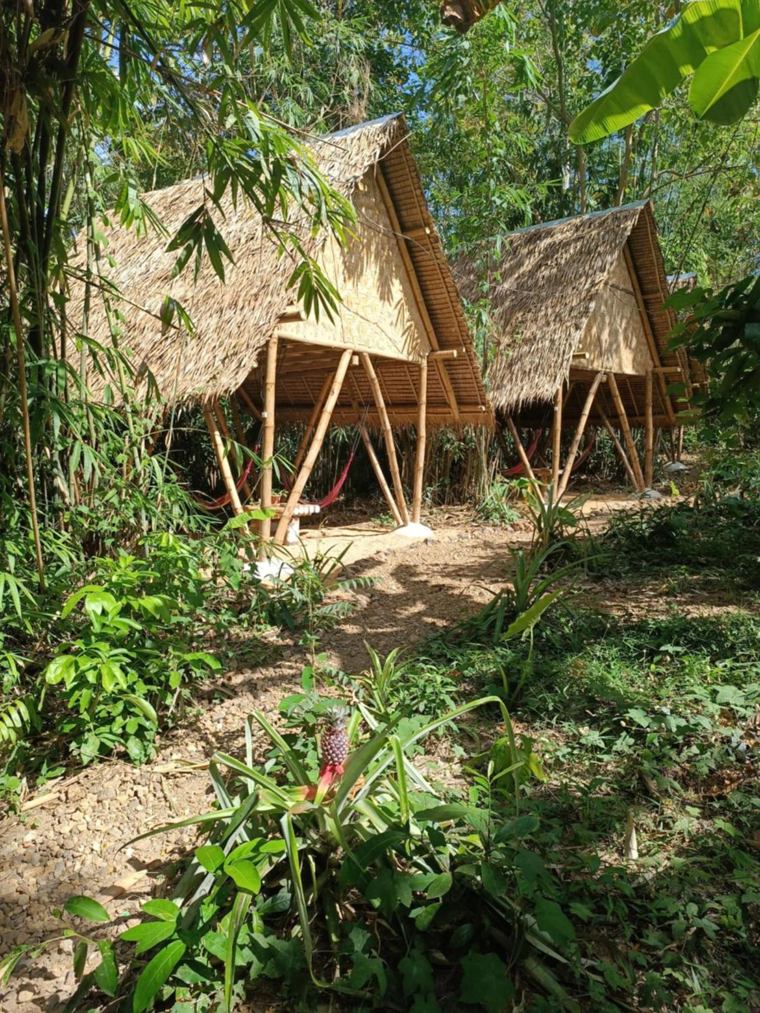 Ecocio Jungle Hostel Coron Exterior photo